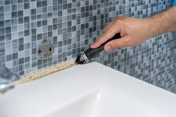 Best Affordable Mold Removal  in Brown City, MI